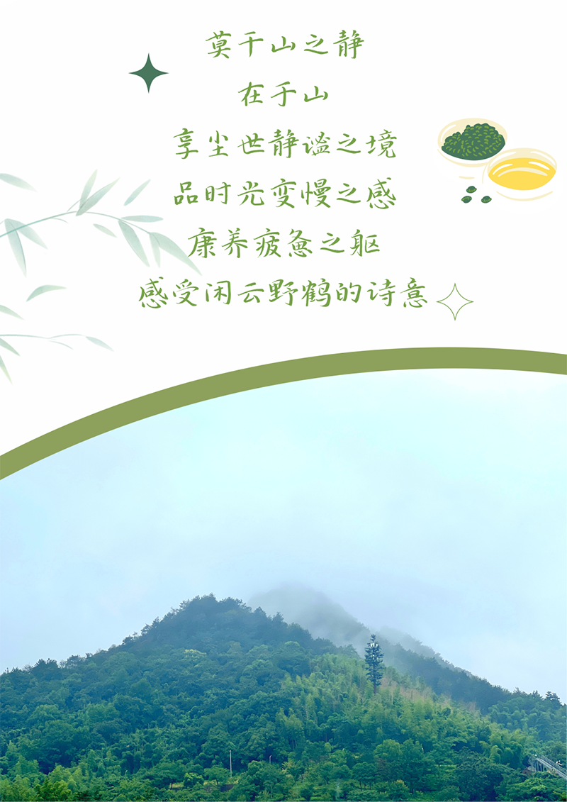 心心念廿 相伴294俄罗斯专享会登录 | 与德清相约 贺廿载诞辰
