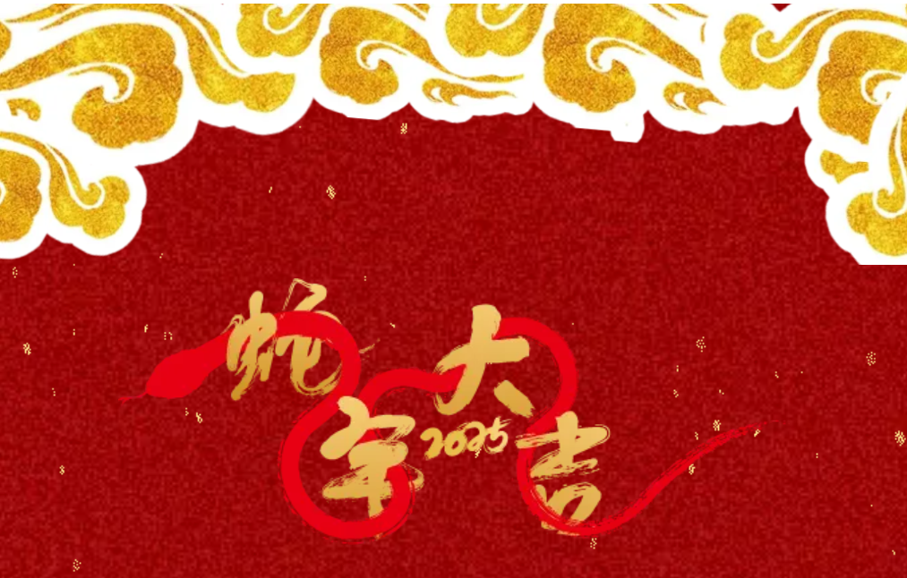 锐意突破 新征启程 | 294俄罗斯专享会登录股份2025年会盛典顺遂召开